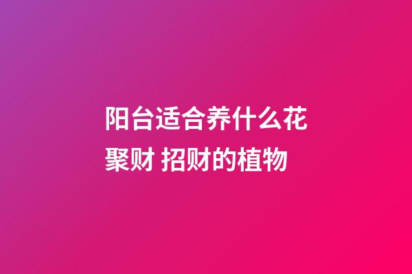 阳台适合养什么花聚财 招财的植物